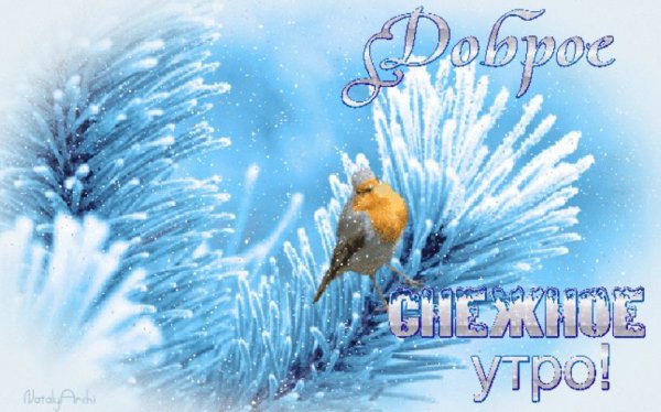 С добрым снежным утром