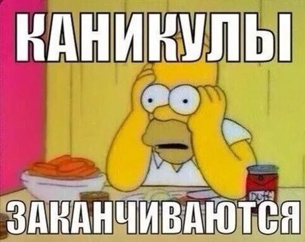 Каникулы кончились