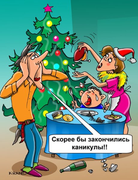 Новогодние каникулы закончились