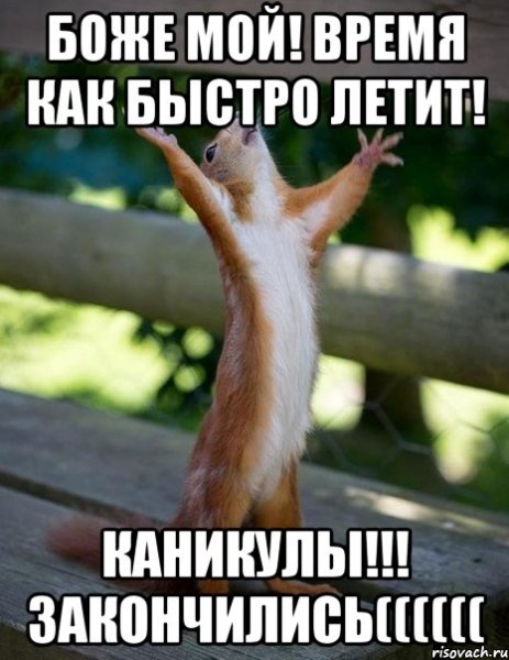 Каникулы кончились