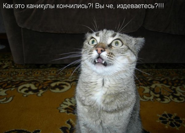 Каникулы кончились