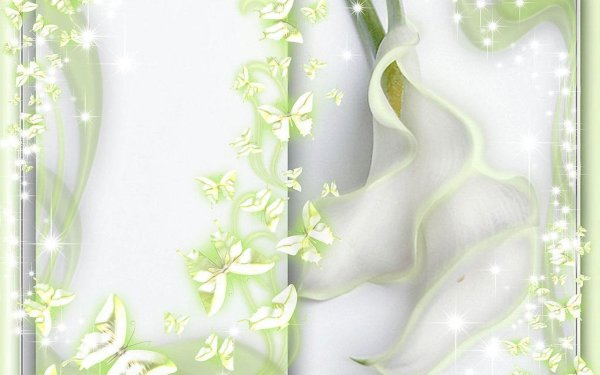 Фон для открытки вертикальный