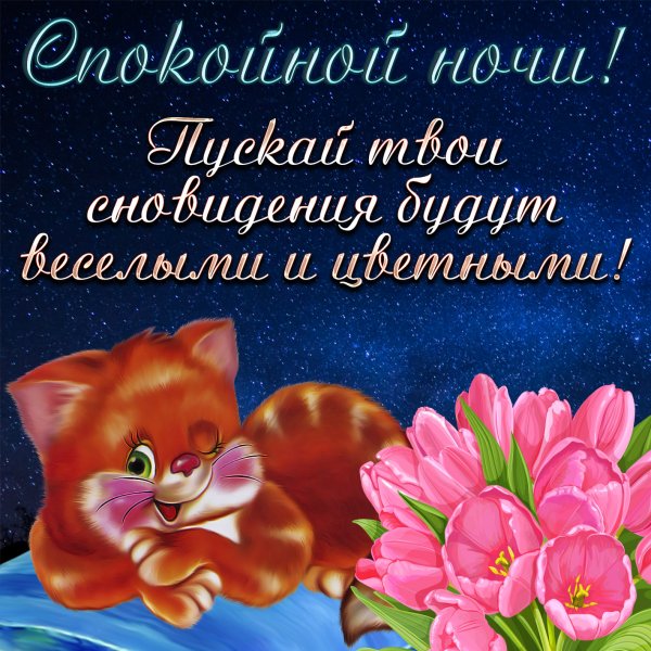 Пожелания спокойной ночи