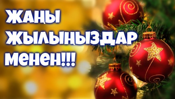 Мед айымдарды куттуктоо