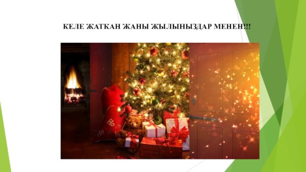 Жаны жылыныздар менен год тигра