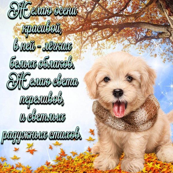 Добрые пожелания