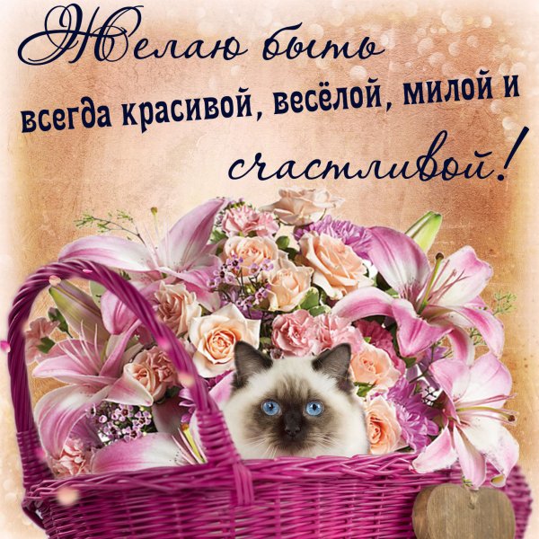 Открытки с пожелан ями