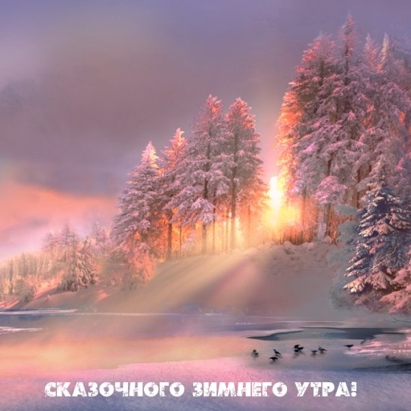 Игорь Зенин фотограф