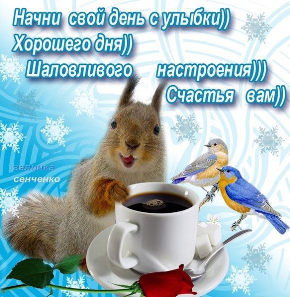Пожелания доброго зимнего утра