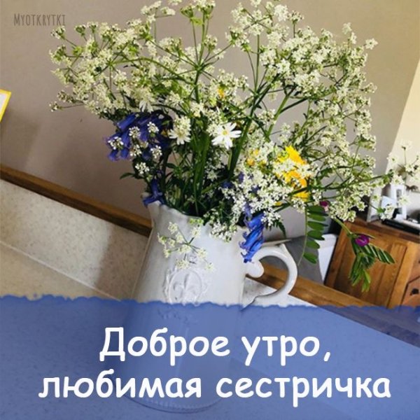 С добрым утром сестренка
