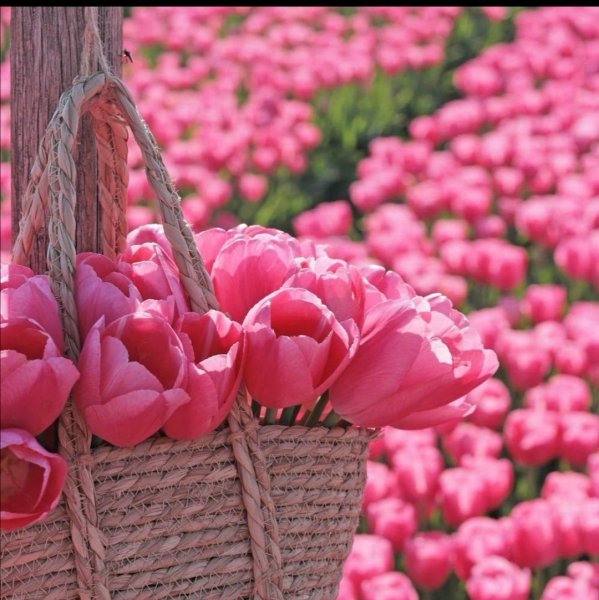 Позитивные пожелания на каждый день