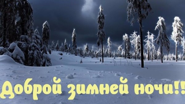 Спокойной зимней ночи