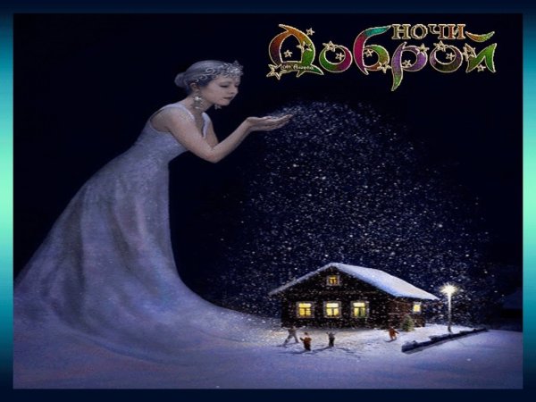 Доброй зимней ночи с животными