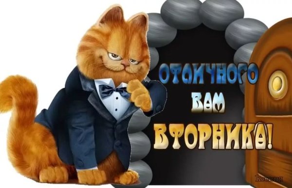 Вторник хорошего рабочего дня