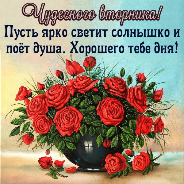 С добрым утром вторника