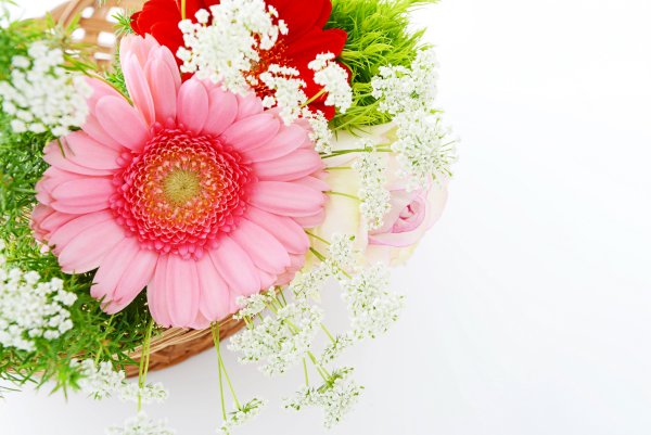 Букет цветов фон