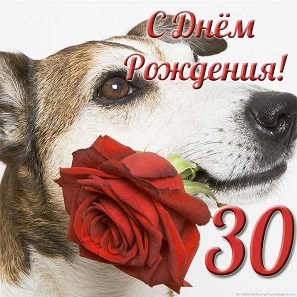 С 30 летием девушке