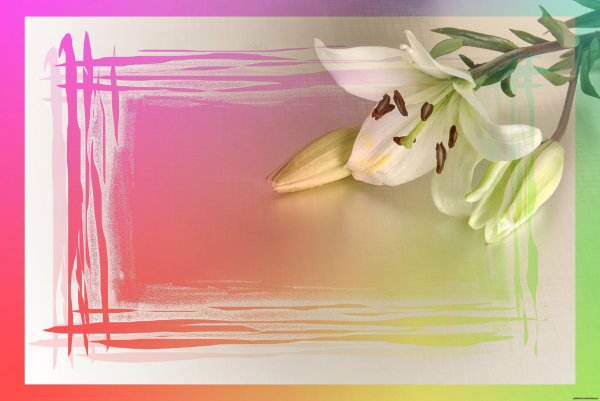 Заготовки для поздравительных открыток