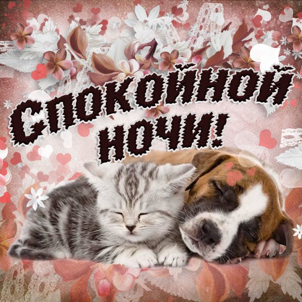 Доброй ночи сладких снов