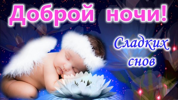 Спокойной ночи сладких снов