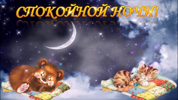 Спокойной ночи зайчик