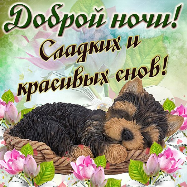 Доброй ночи сладких снов