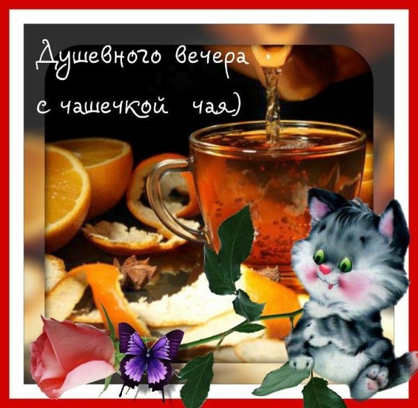 Веселые поздравления с добрым вечером