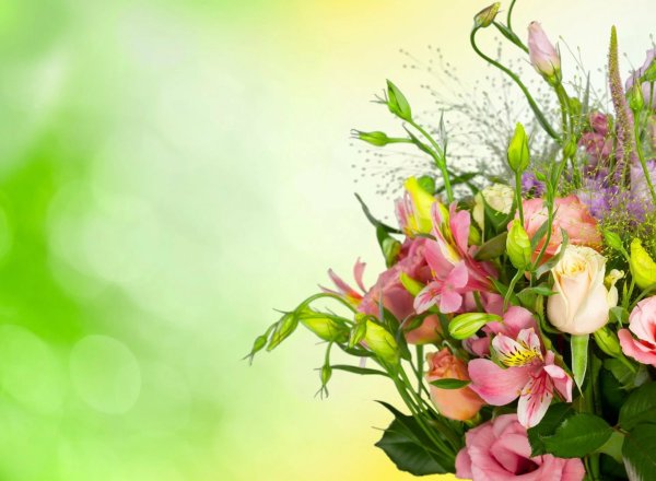 Фон с цветами