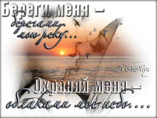 Открытки береги меня
