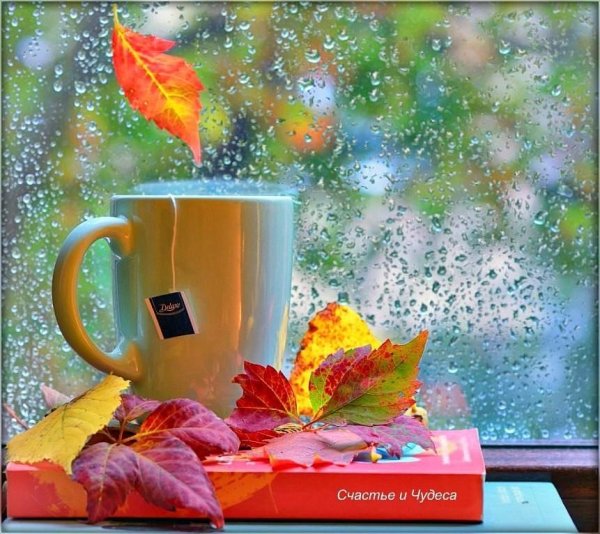 Доброе дождливое утро