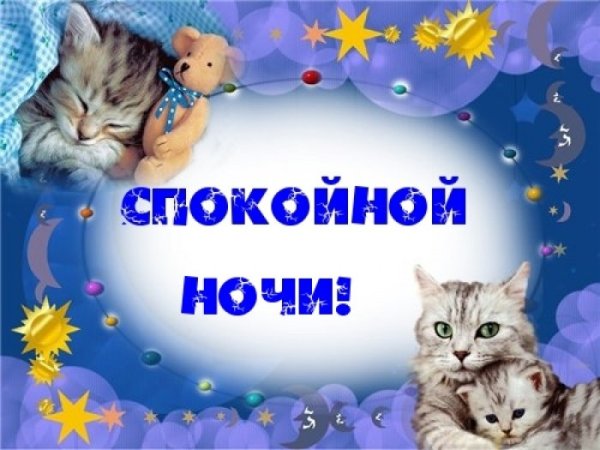 Спокойной ночи Марточка