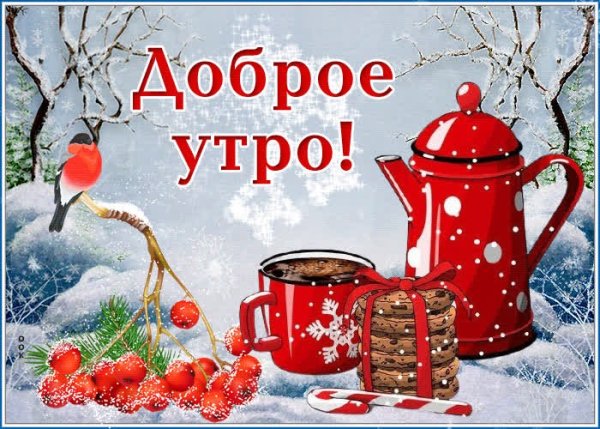С добрым зимним утром
