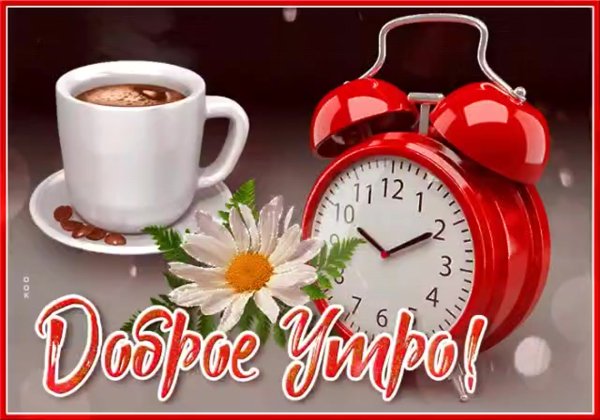 Доброе утро зимнее прикольное