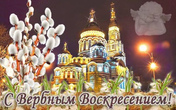 С праздником Вербное воскресенье