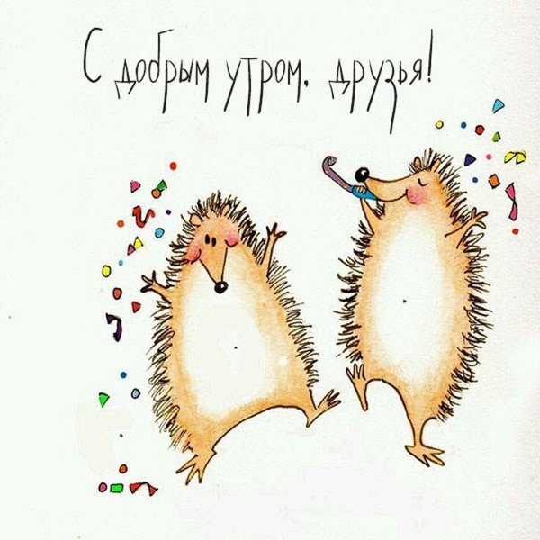 Открытки с юмором прикольные