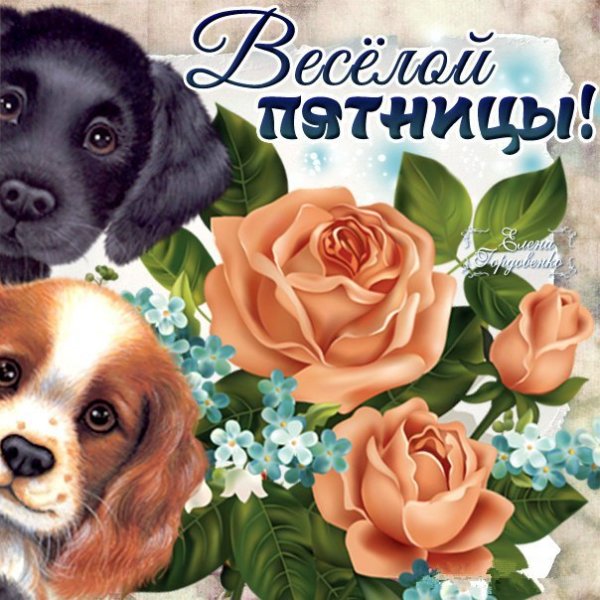 Прекрасной пятницы