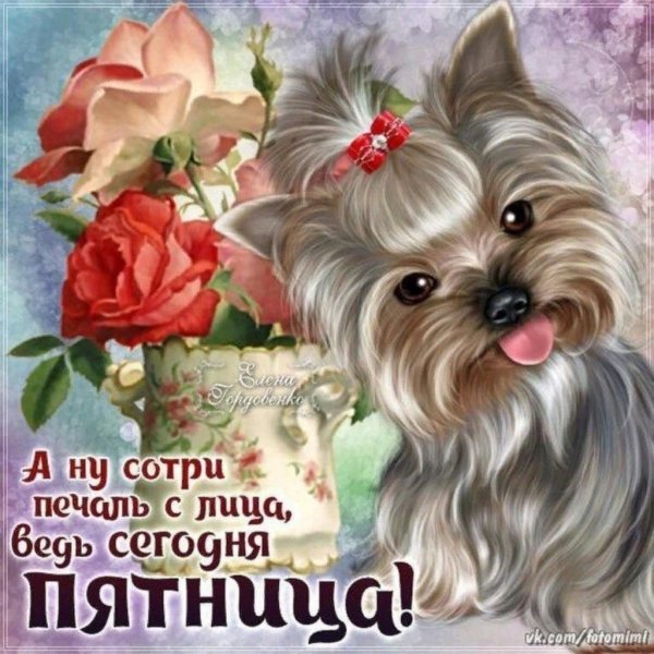 Поздравления с пятницей открытки