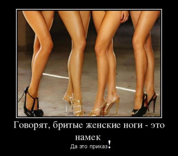 Художница Аманда Олеандр