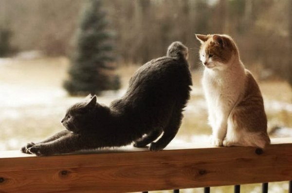 Картинки с намёком на близость мужчине