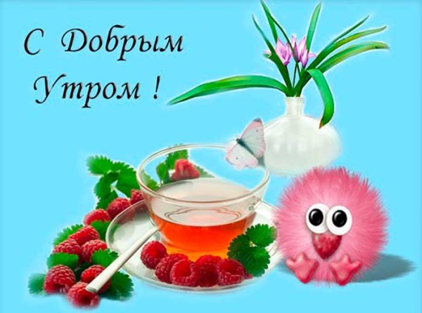Пожелания с добрым утром прикольные