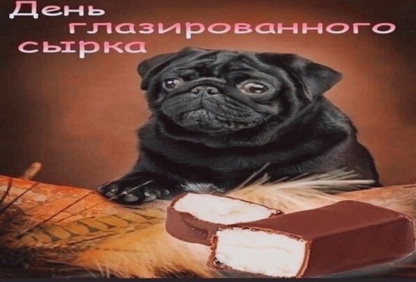 День глазированного сырка Мем