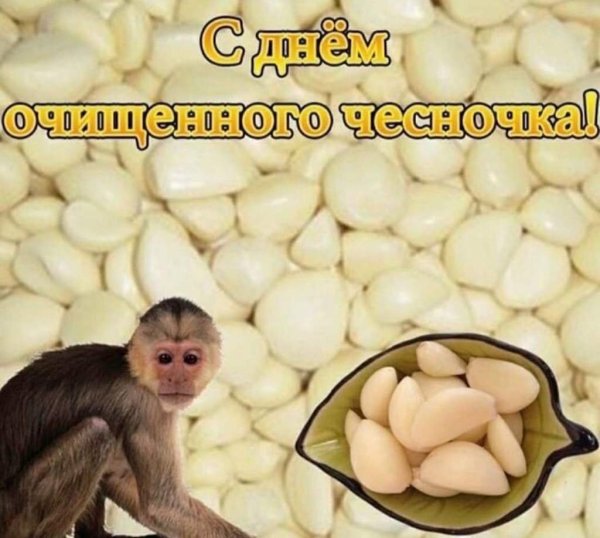 С днем очищенного чеснока
