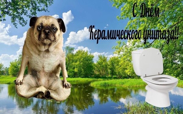 День туалета