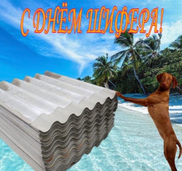 С днем шифера Мем