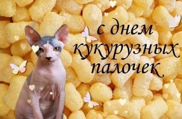 Открытка с днем кукурузных палочек