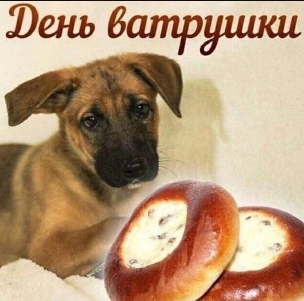С днем ватрушки