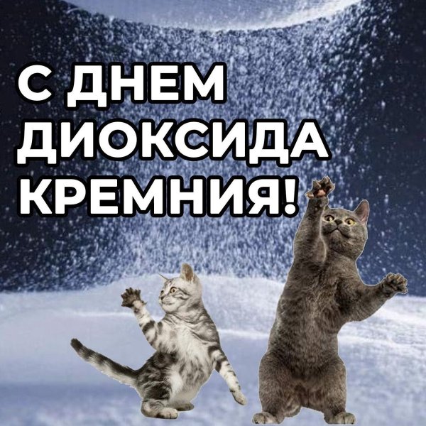 Дурацкие открытки с днем