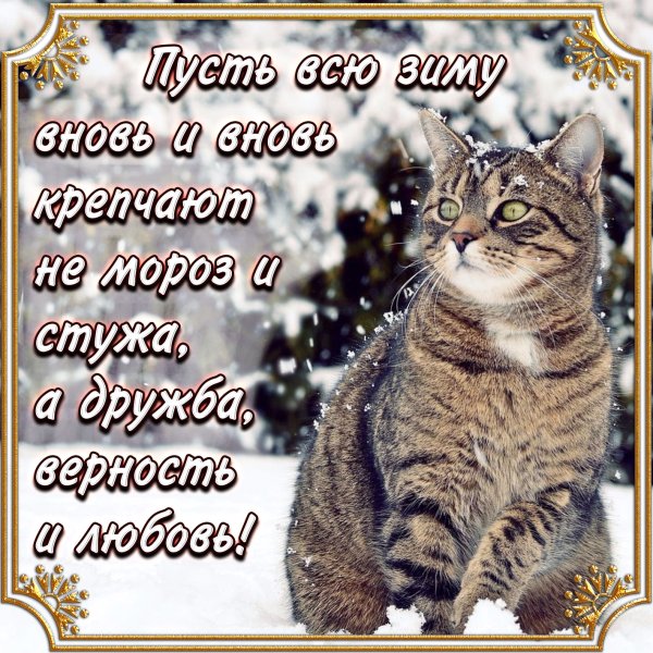 Пожелания зимой