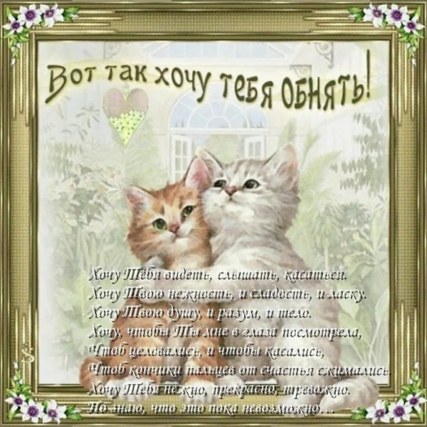 Обнимаю тебя