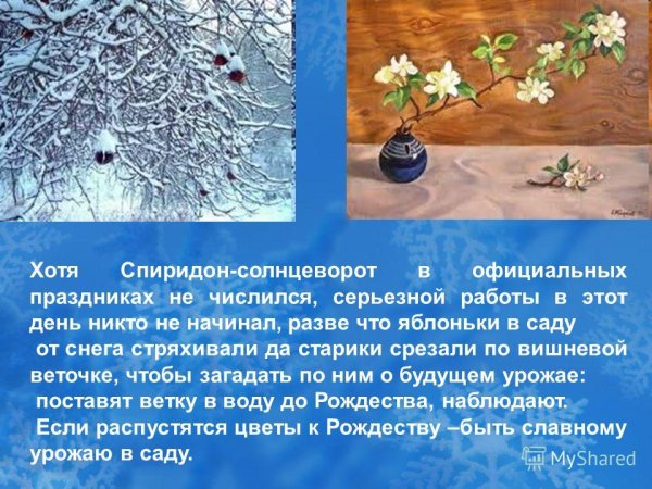 Спиридон Солнцеворот кукла оберег